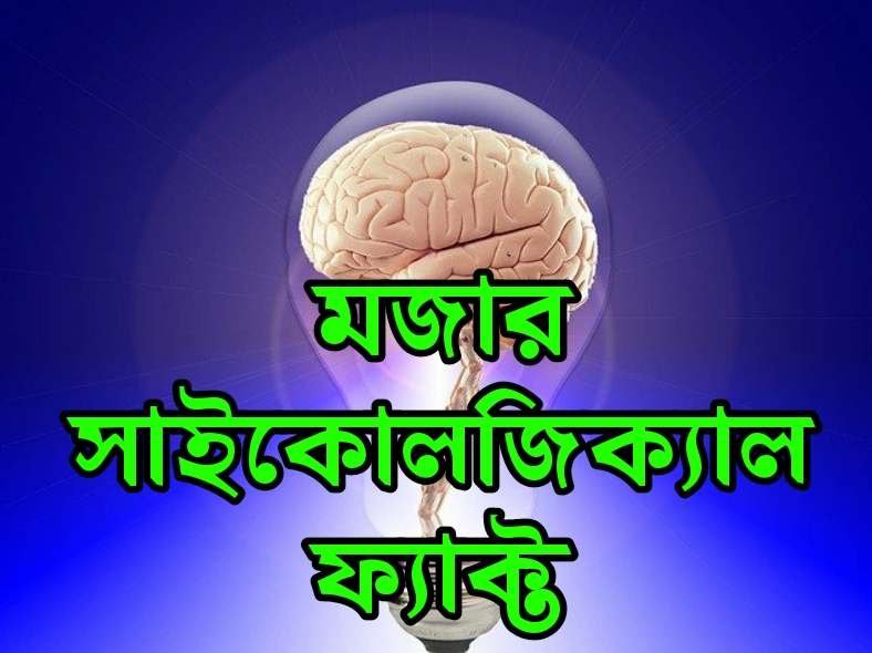 47 rare known psychology facts in bengali বাংলা মজার সাইকোলজি ফ্যাক্ট top new psychology facts bangla