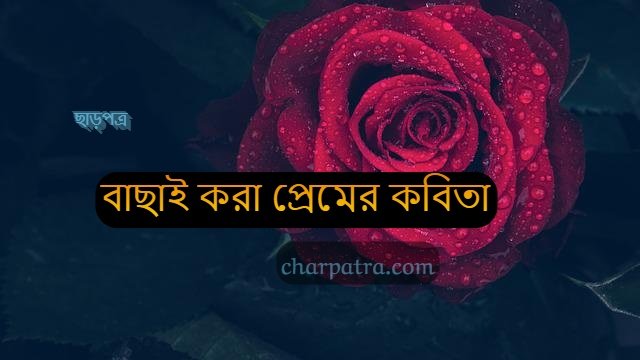 সেরা প্রেমের কবিতা নতুন প্রেমের কবিতা bengali new love poems